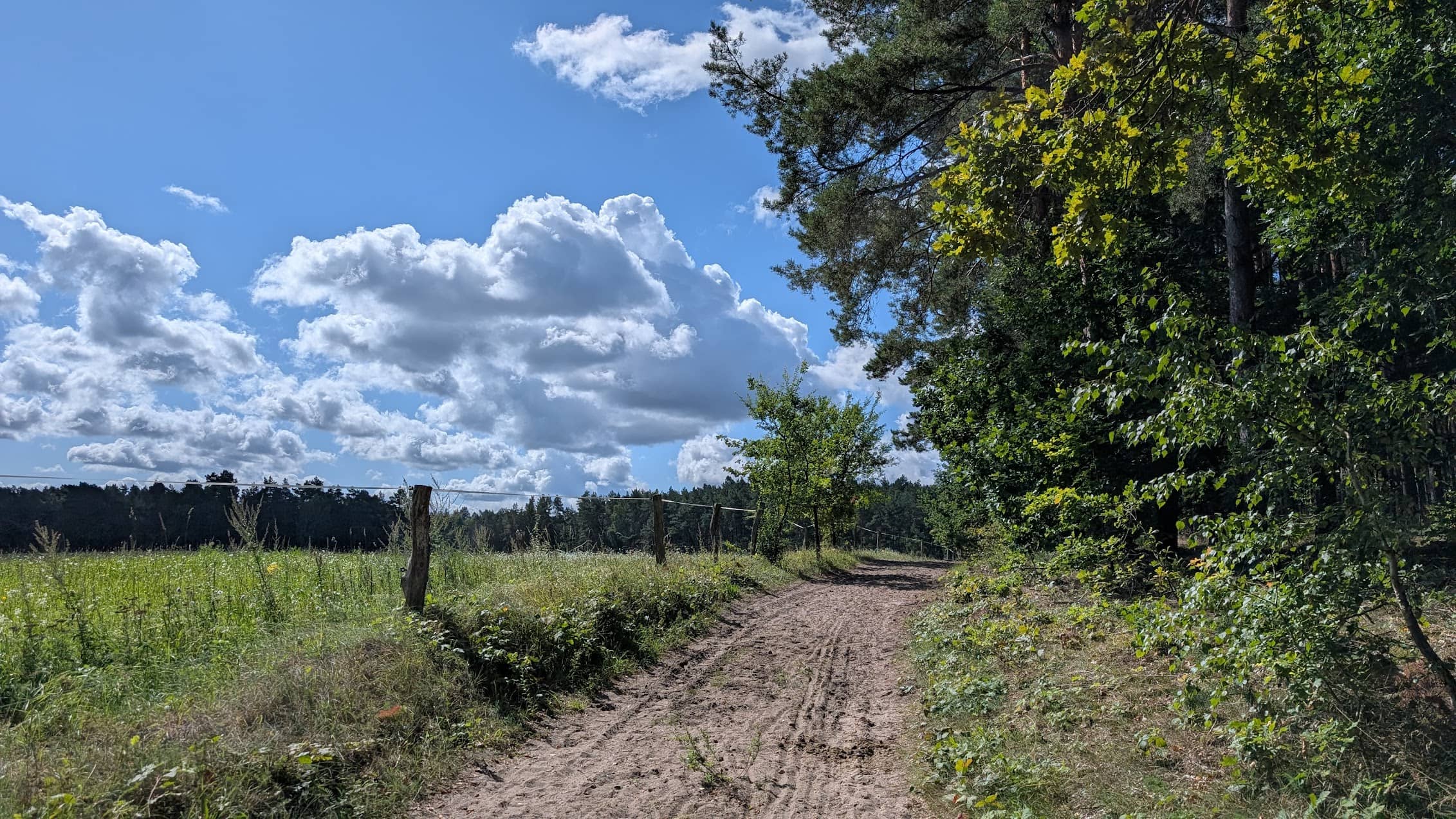 Wie ich gelernt habe, meine Gesellschaft zu schätzen