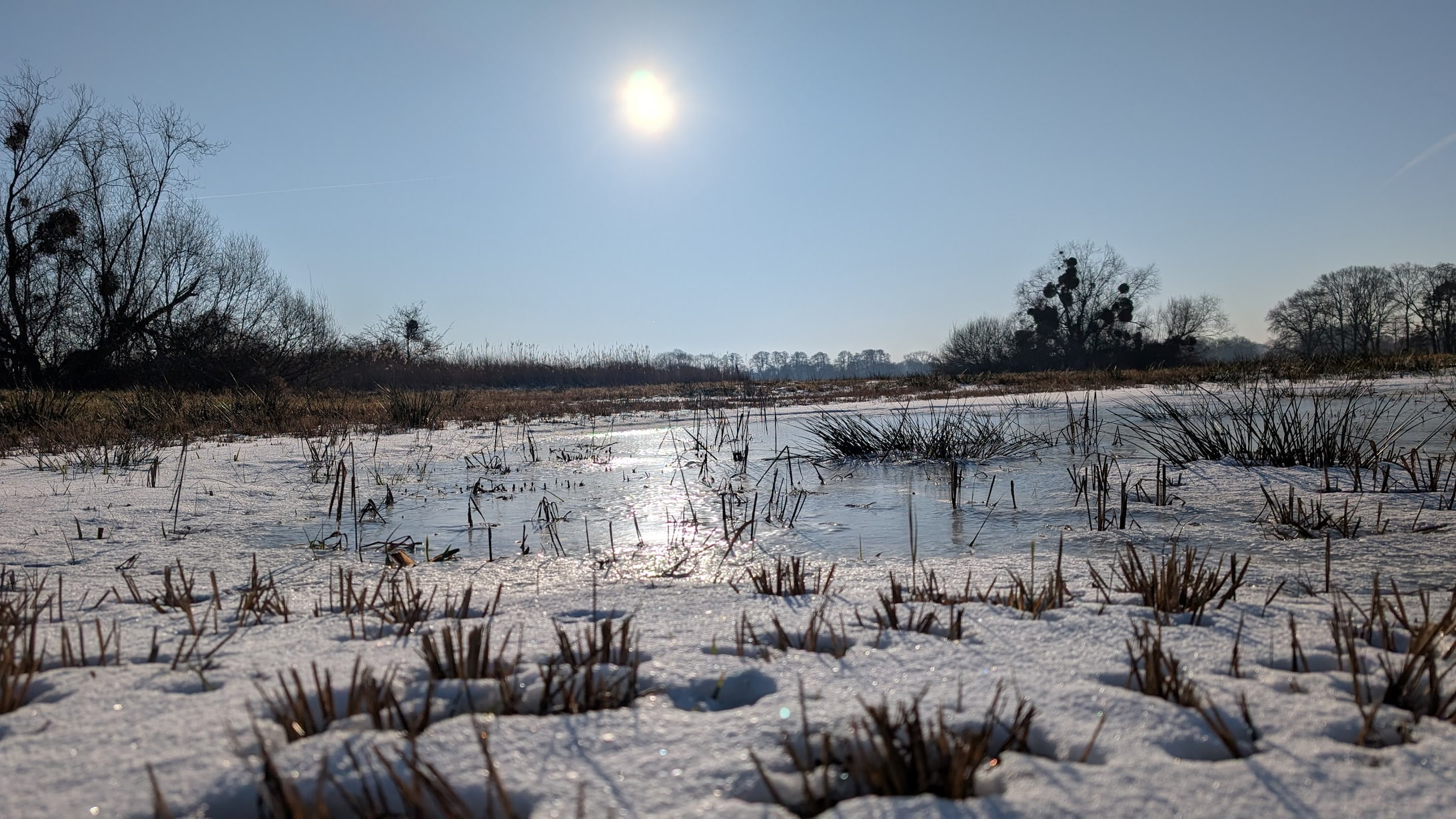Kein Winterblues für mich